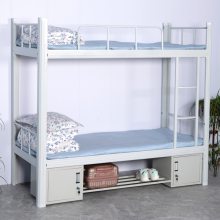 ѧ����Ԣ�� ���������� ѧУ����Ա�����Ӵ� �Ͼ��������ܼҾ�