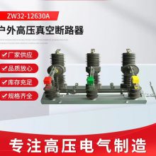 JKDQ ZW32-12/630Aѹն· ֶ뿴ŹϿ10KV