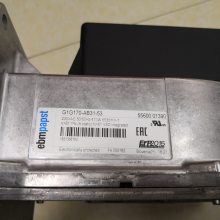 FASCOײ ȼ¯ GPM10.0(513-806Kw) ʳƷ豸