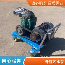 11千瓦电动泥浆泵 无堵塞排污蛟龙泵 小型厕所家用抽粪泵