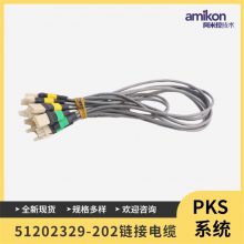51305776-100 ģOEP/IKB51202971-101 »ɫ