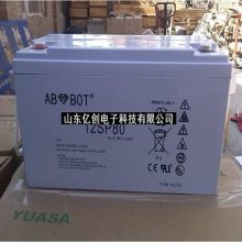 ABOBOT12SP65 12V65AHֱUPS EPSӦƿϵͳ