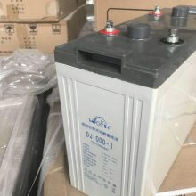 ʿLEOCHDJ500/2V500AHֱ ͨѶר