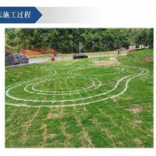 ֳıXY-168޶豸ɳѱıĴ