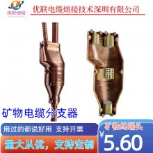 ʵͷ BTTZͷ5X16mm2 նͷ