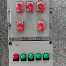 BXMD51-6/100K60A-Ͻ