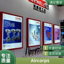 ӦKEWELLKW-22P,ֱ