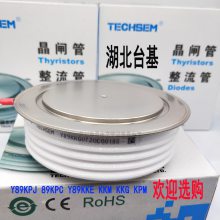 TECHSEM̨բY70KPJ KP2000A3000V3200VƵ¯ɿع