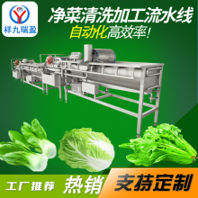 祥九瑞盈中央厨房净菜加工流水线 企业团餐学生营养餐蔬菜配送设备