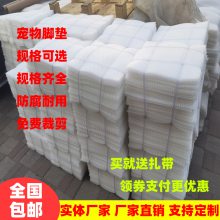 闯佳定制塑料养殖网育雏漏粪脚垫水产养殖小孔养蜜蜂网水产塑料网