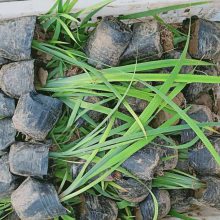 �����ر����ܻ���_�Ϸ��ر����ܹ�����