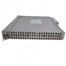 TC-305-01-5M0 工控欧美进口系列应用DCS/PLC系统控制器供应