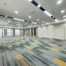 Myanmar fashion Color Mosaic Office carpet, sound-