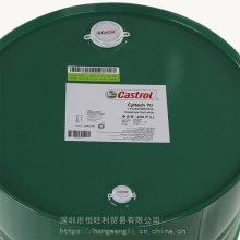 ʵ100 Castrol Cyltech 100 ʮͷ