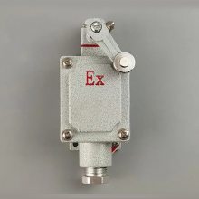 BZX51-5/D ʽг̿ гλ AC380V λ