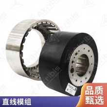 akribis有铁芯直线电机无铁芯AKM100-B4代理配套支持