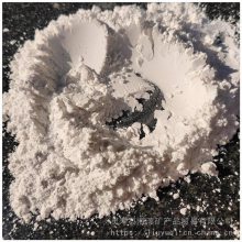 砂浆 补漏用白色水泥 涂料 腻子粉用白水泥 42. 5 325