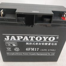 6GFM-17 ֱ 12V17AH UPS/EPSӦԴ
