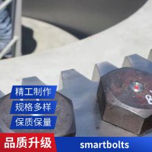 ĸ  M2-M20 ˨ smartbolts