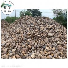 河池庭院鹅卵石厂家，过滤石鹅卵石铺路，变电站鹅卵石造景