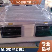 吊顶式新风机组 商场酒店办公楼空调机组 对接工程 吊顶式空调机组 规格齐全
