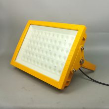 LED防爆隧道灯100W免维护节能顶灯石油化工厂房照明灯