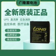 广隆12V45AH蓄电池 LONG高功率免维护储能蓄电池WPL45-12