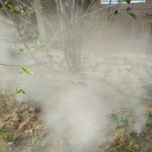 蚌埠人工造雾设备,徐州园林水雾系统