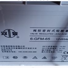 ˫ǷܱʽǦ6-GFM-65(C20)