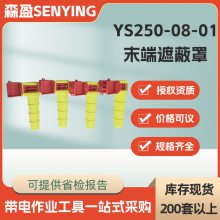 YS250-08-01ĩڱն˷1000VѹԵ뻤