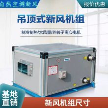 全新风直膨式空调机组定制 医院新风机组 新风净化机组