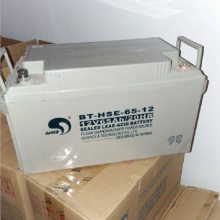 BT-HSE-100-12 12V100AH ר EPSֱUPSԴ