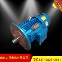 ɽùӦYEJϵеƶ綯YEJ16L-6/11kw첽綯