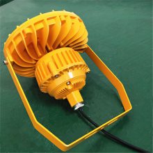 GBD2900ԲηLEDά100W