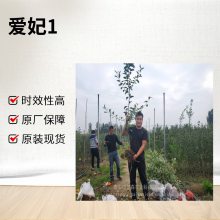 ƻG935ƻ