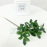 2019新款仿真迷你榕 迷你榕枝 迷你榕树 工程插树 绿植小盆栽 厂家定制