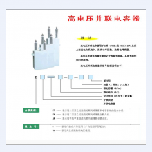 յBFM12/3-500-1W