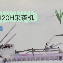 川崎SV120H平行双人采茶机 茶园茶叶修剪机 园林绿化重修机