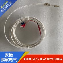巵ֻPT100¶ȴ沬ȵWZPM-201