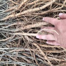 ����ĵ�������綩���绰