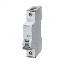 Ӵ ΢Ͷ·5SY60 230V 6KA 1P+N BC, 2-40A