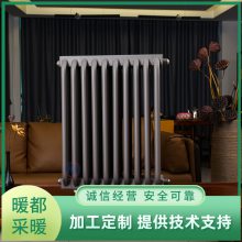 ů 糧ܸůƬ YGH-VI-1800仡ȡůƬ