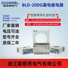 BLD-20Xѹ©籣װҪ;ϸ