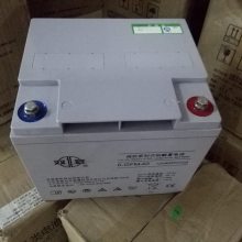 供应双登12V40AH蓄电池 6-GFM-40 铅酸免维护 UPS专用蓄电池