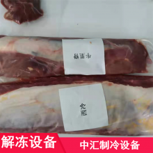 供应 羊肉低温高湿解冻机 冻猪骨化冻设备 小型缓化库可定制