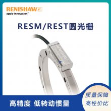ӢRenishaw RESM/RESTϵԲդ ȡ0.38