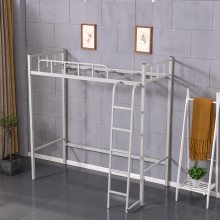 ��ѧ�����ṫԢ���ϴ������������幫Ԣ��˫�㴲�������ľ��ϸ�