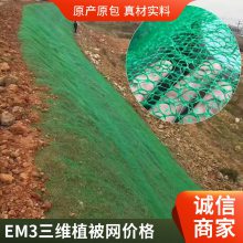 世杰三维固土网垫 黑色绿色植草护坡三 维植被网 绿化效果好