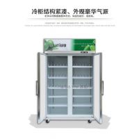 绿零大二门冷藏展示柜 SGZ-1000L2F冷藏保鲜柜 饮料陈列柜