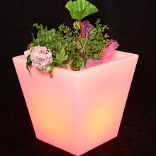 滚塑花盆OEM加工 各种造型塑料花盆设计开发